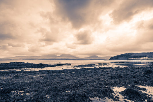 Seaweed Jura and Bunnahabhain Distillery Hahnemühle Photo Rag Print