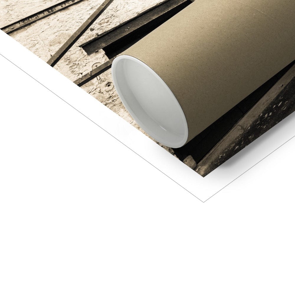 Brora Still Room Golden Black and White Hahnemühle Photo Rag Print by Wandering Spirits Global