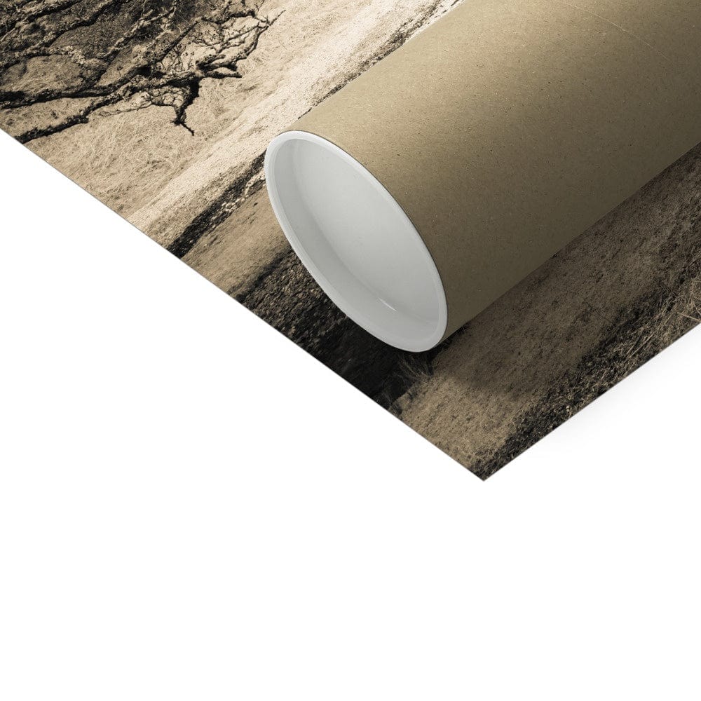 Spindly Tree Margadale River Islay C-Type Print by Wandering Spirits Global