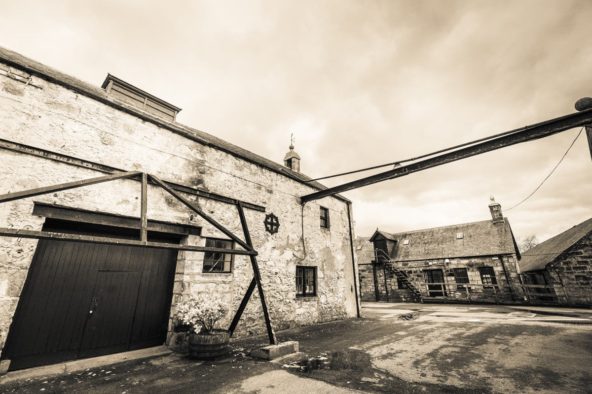 Brora Still Room Golden Black and White