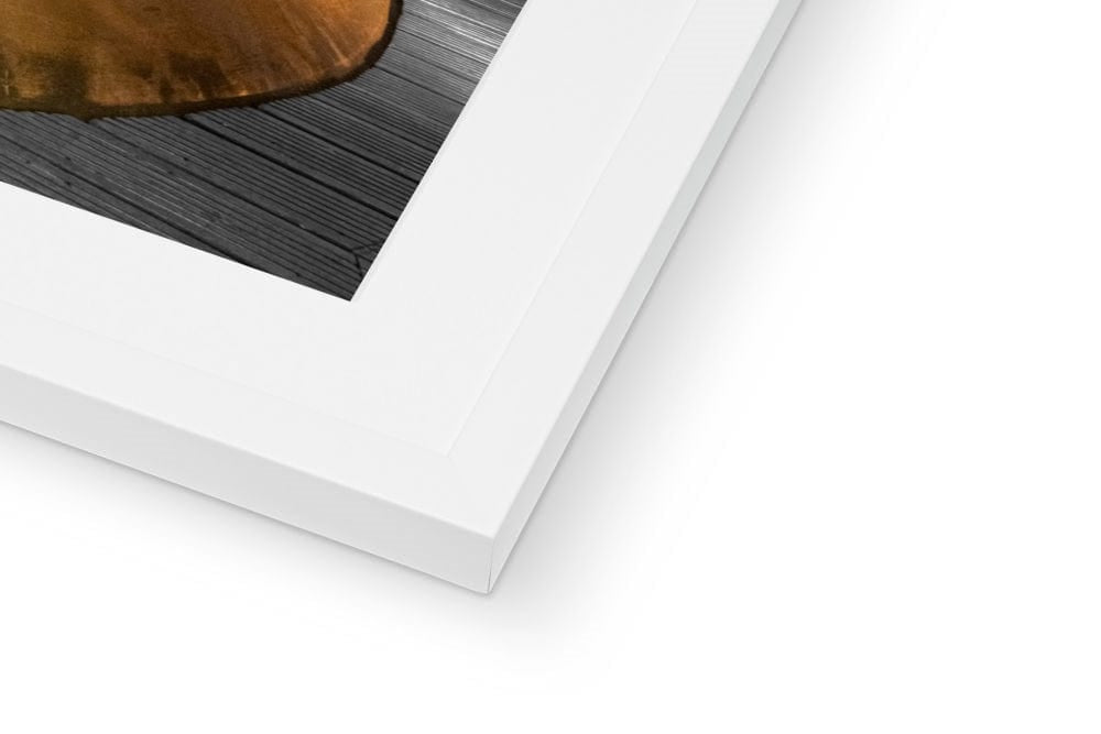 Bruichladdich Still No. 1 Framed & Mounted Print by Wandering Spirits Global