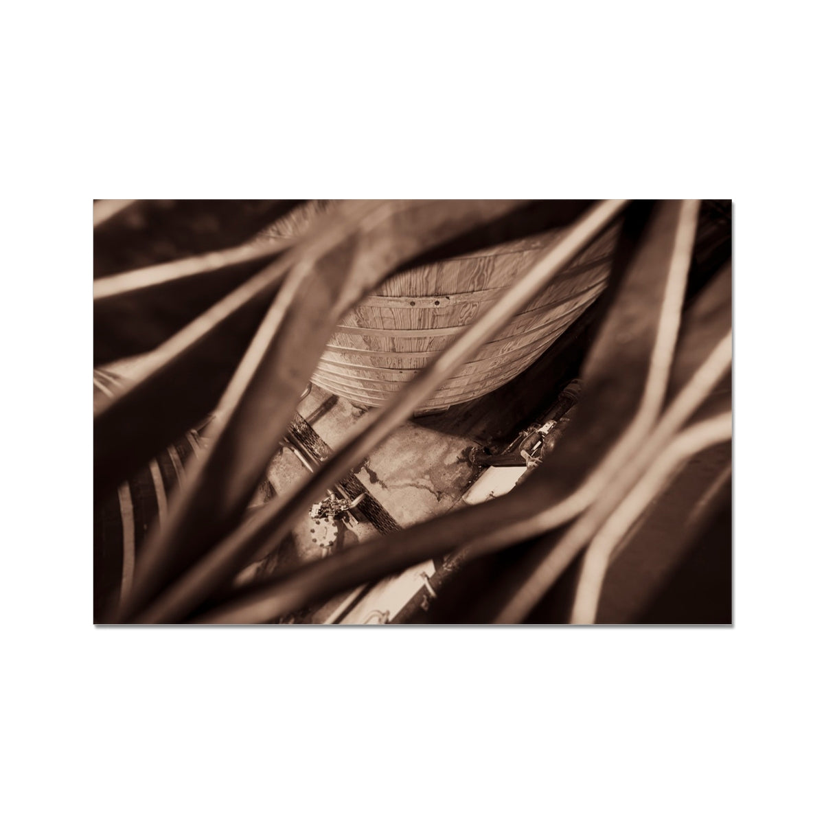 Caol Ila Washback C-Type Print