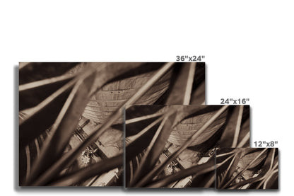 Caol Ila Washback Canvas