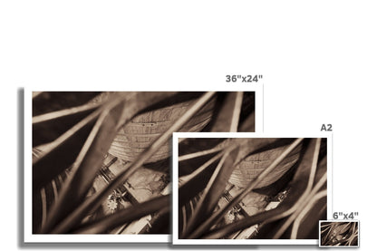 Caol Ila Washback Hahnemühle Photo Rag Print