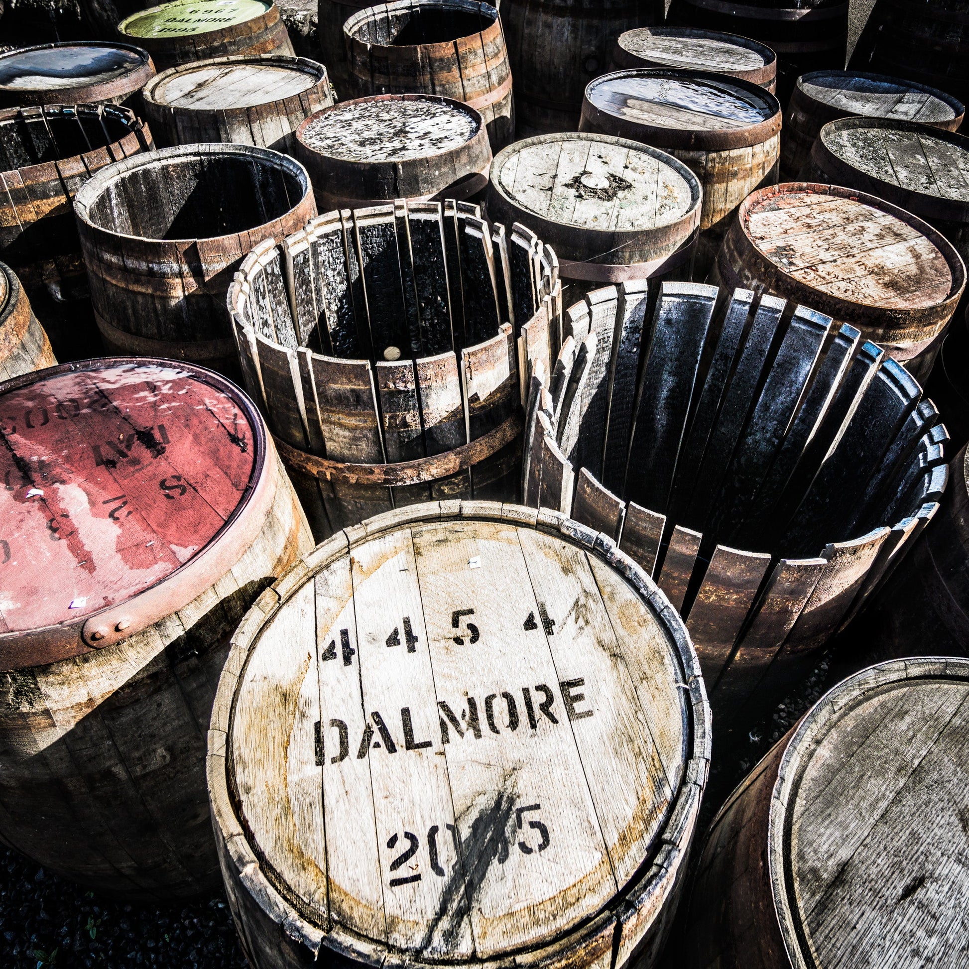 Dalmore Distillery Casks C-Type Print
