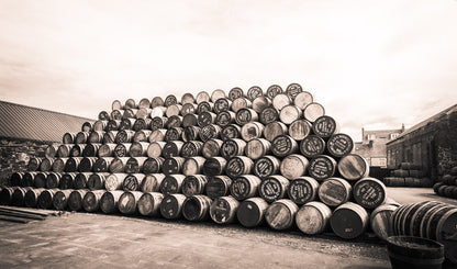 Empty Glengyle Casks Sepia Toned Mugs by Wandering Spirits Global