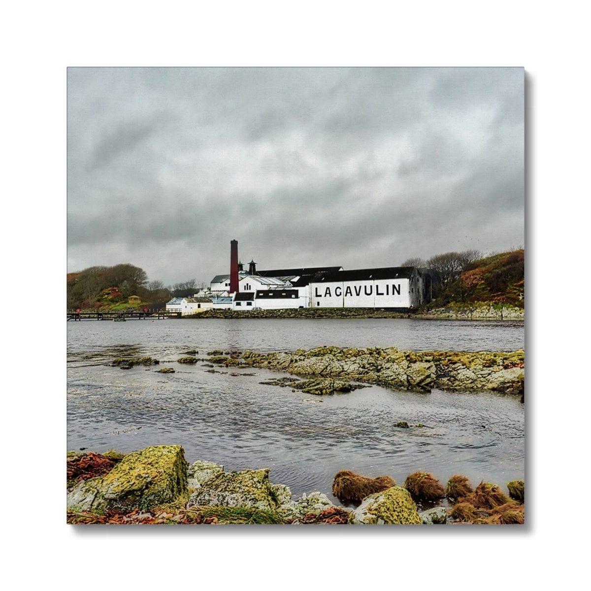 Lagavulin Distillery Soft Colour Canvas 24"x24" / White Wrap by Wandering Spirits Global