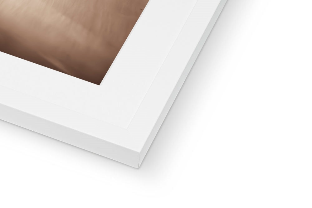 Lagavulin Wash Stills Framed & Mounted Print