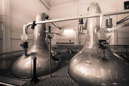 Low Wines 1 and 2 Talisker Golden Toned Framed & Mounted Print