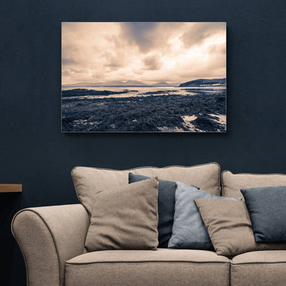 Seaweed Jura and Bunnahabhain Distillery C-Type Print