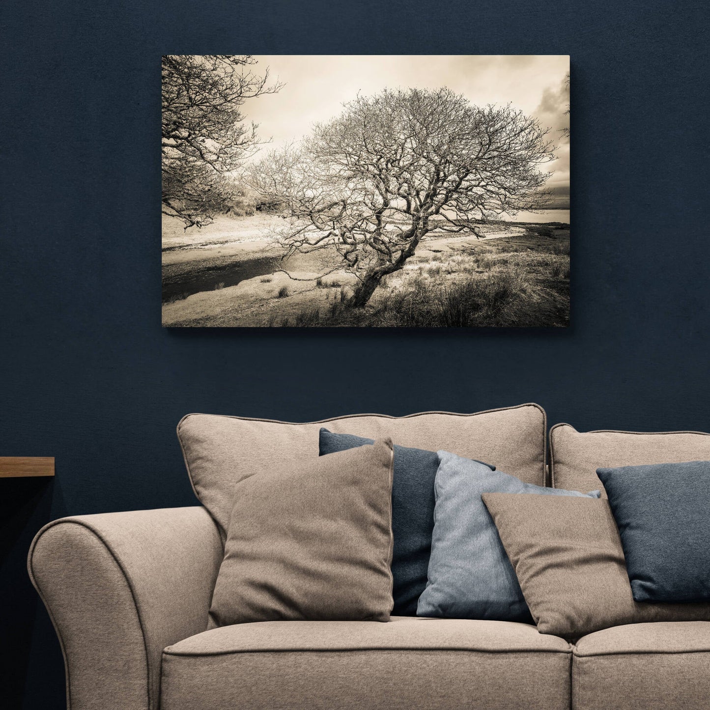 Spindly Tree Margadale River Islay C-Type Print