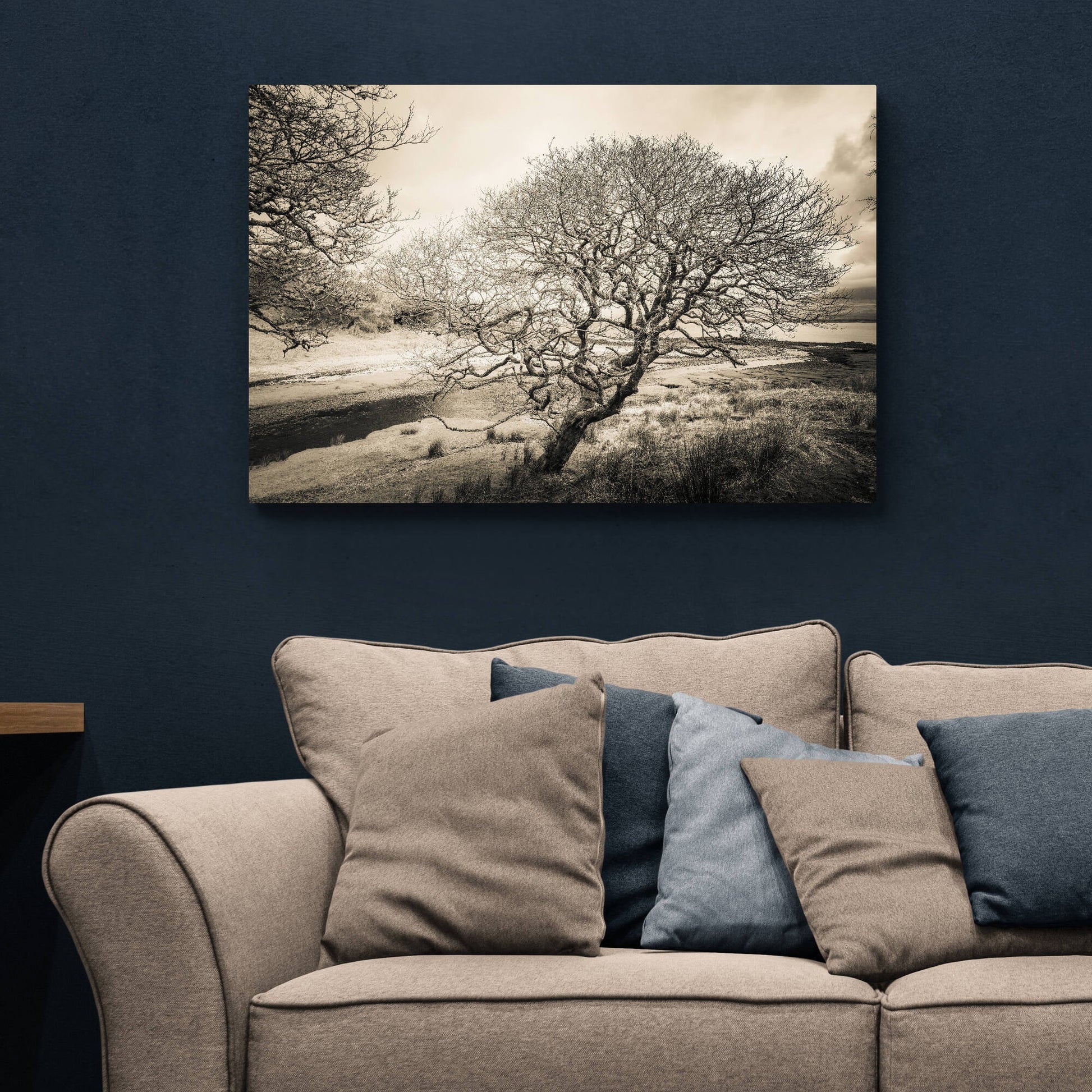 Spindly Tree Margadale River Islay C-Type Print