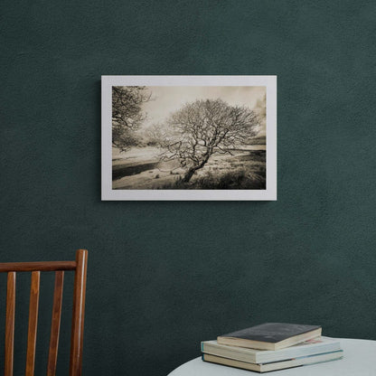 Spindly Tree Margadale River Islay Hahnemühle Photo Rag Print A2 Landscape by Wandering Spirits Global