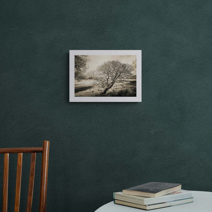 Spindly Tree Margadale River Islay Hahnemühle Photo Rag Print A3 Landscape by Wandering Spirits Global