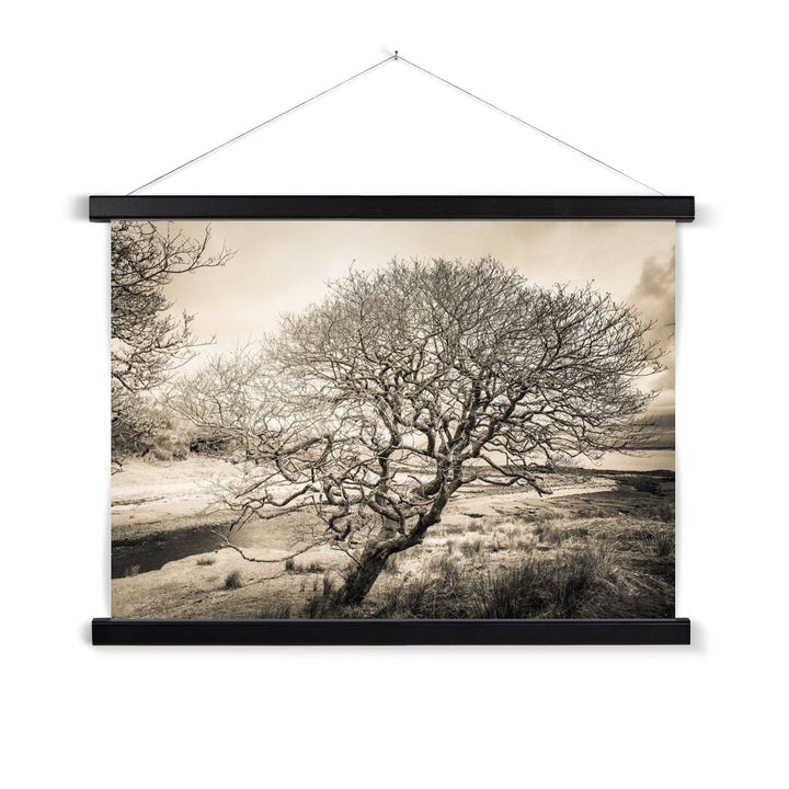Spindly Tree Margadale River Islay Fine Art Print with Hanger A2 Landscape / Black Frame by Wandering Spirits Global