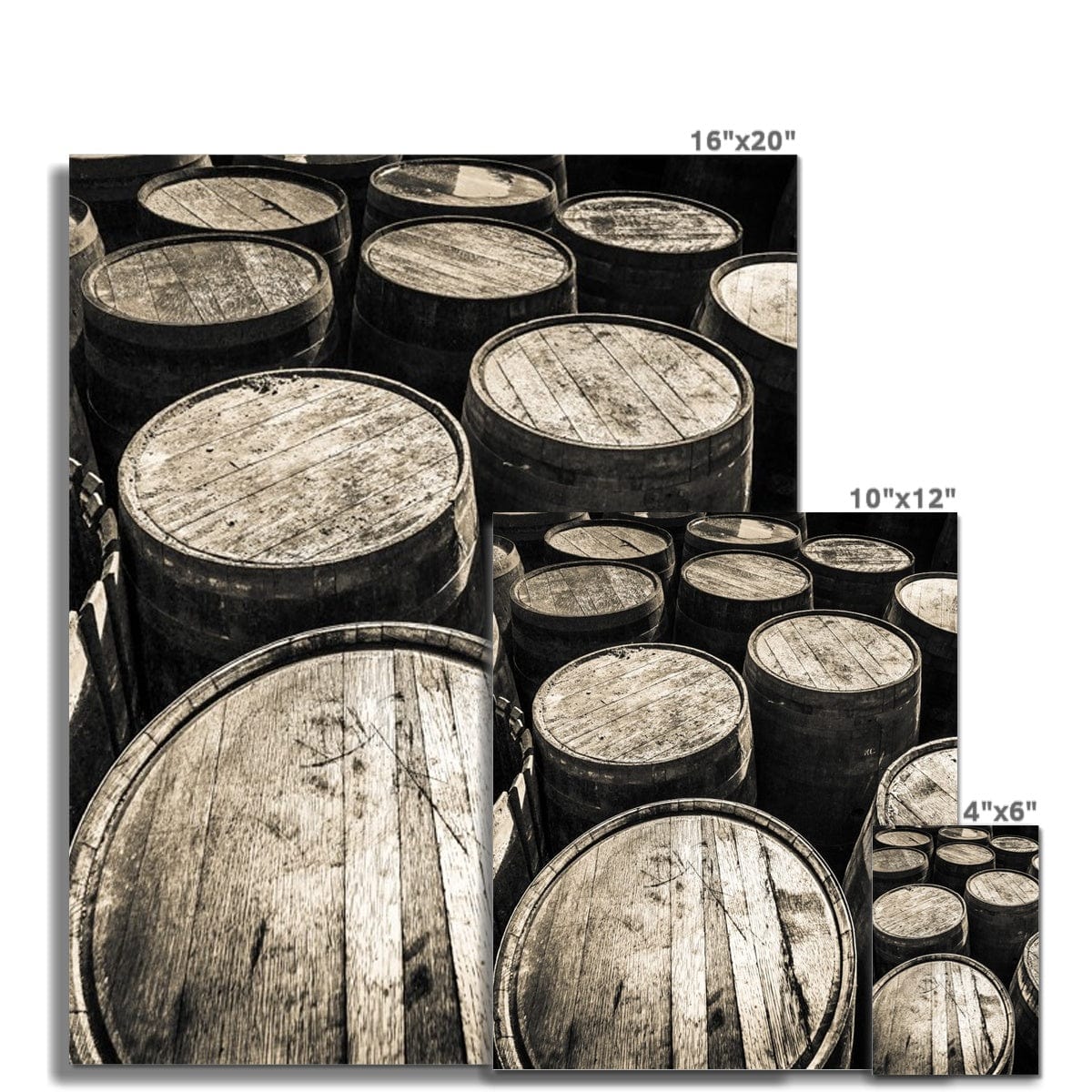 Dalmore Distillery Empty Casks  C-Type Print by Wandering Spirits Global