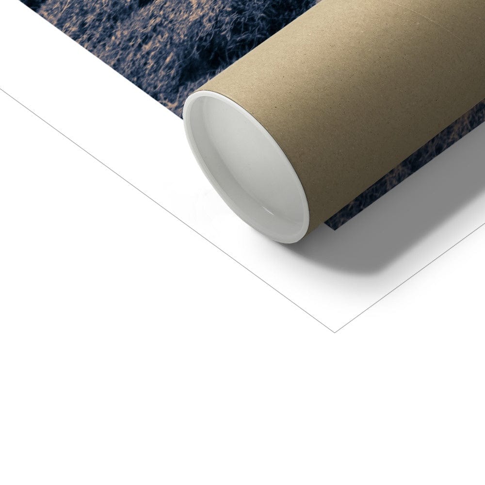 Margadale River Islay Hahnemühle Photo Rag Print by Wandering Spirits Global