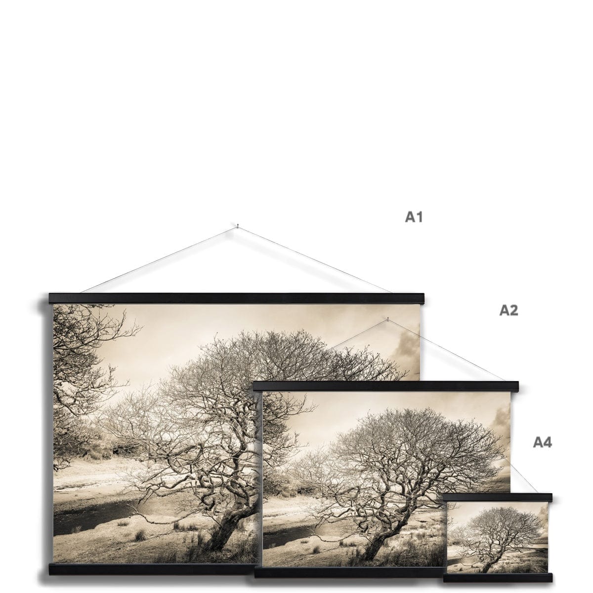 Spindly Tree Margadale River Islay Fine Art Print with Hanger by Wandering Spirits Global