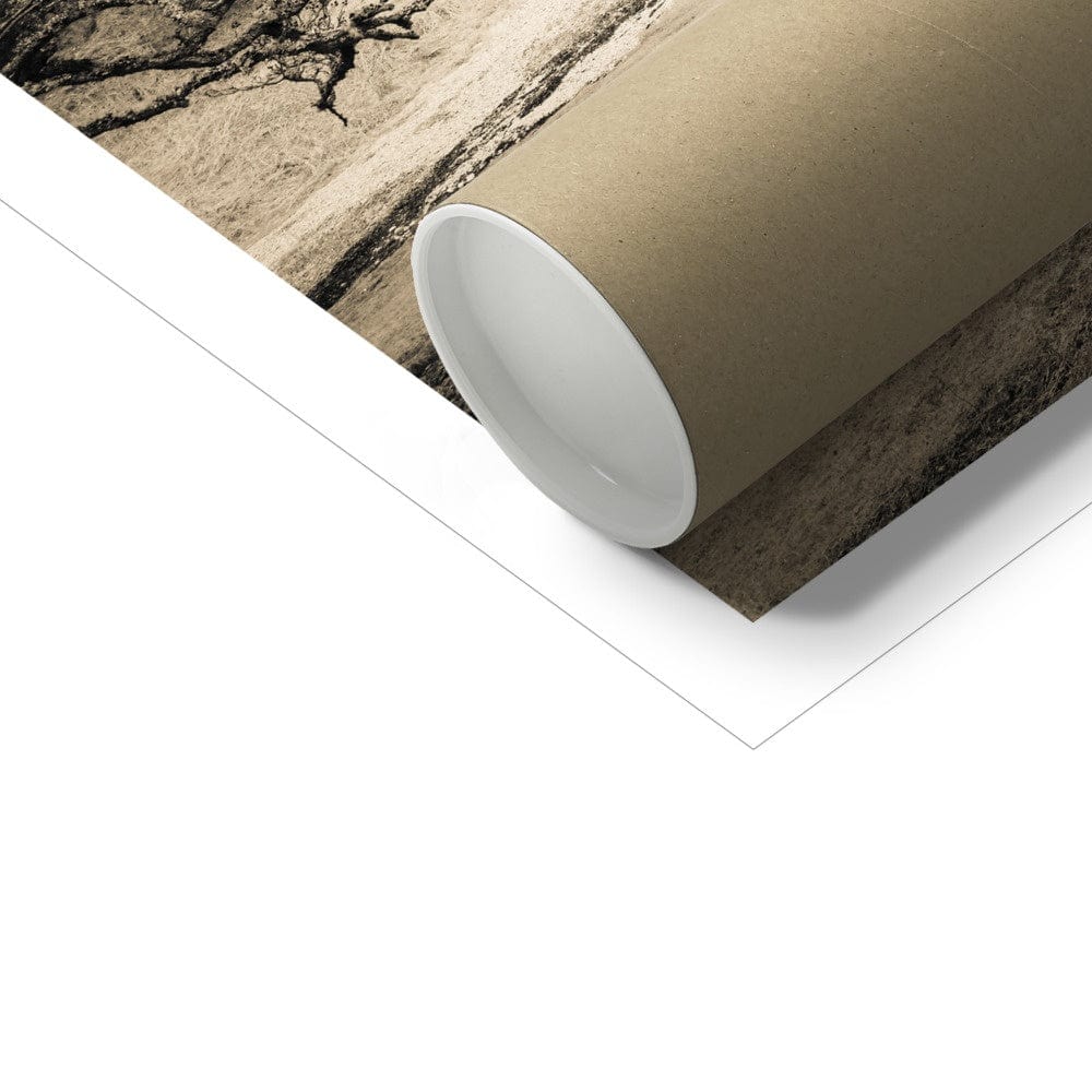 Spindly Tree Margadale River Islay Hahnemühle Photo Rag Print by Wandering Spirits Global